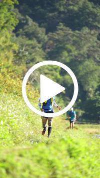 BIB:  <button type="button" onclick="openModal(26575627)" class="btn btn-primary btn-sm float-right" data-toggle="modal" data-target=".modal-high-quality">
                <i class="fa fa-download"></i> Download
                </button>